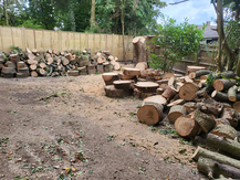 Log Pile Image